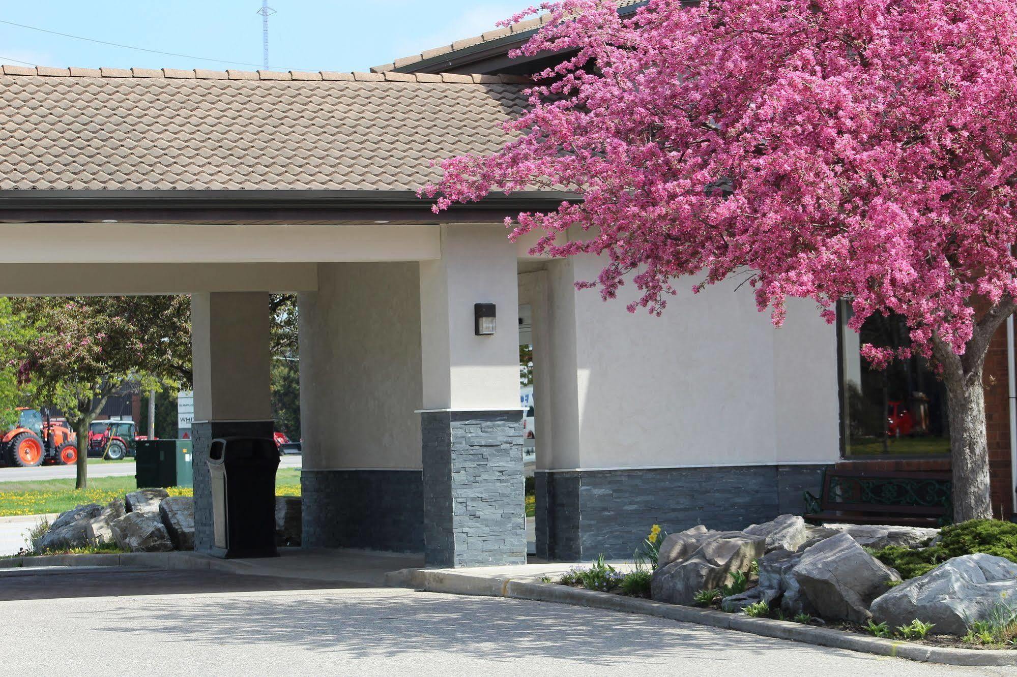 Comfort Inn Chatham-Kent Exterior foto