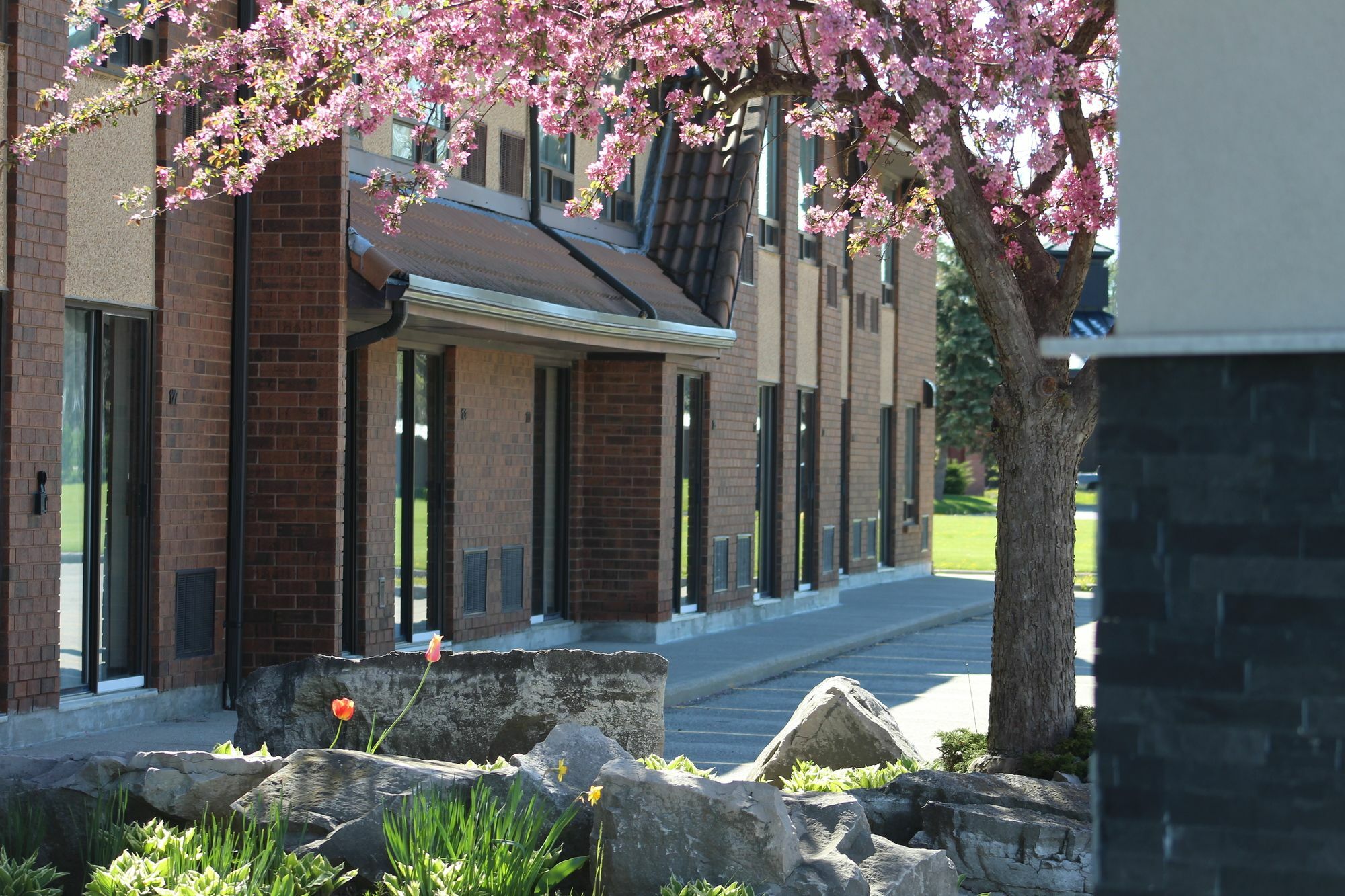 Comfort Inn Chatham-Kent Exterior foto